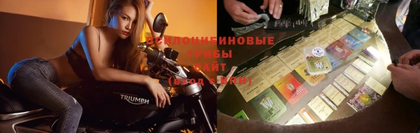 соль курить ск Осинники