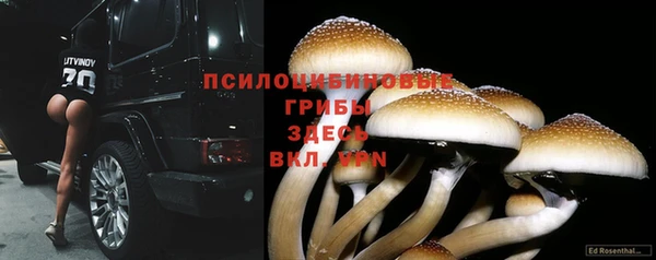 мяу мяу кристалл Осташков