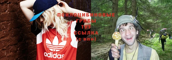 соль курить ск Осинники