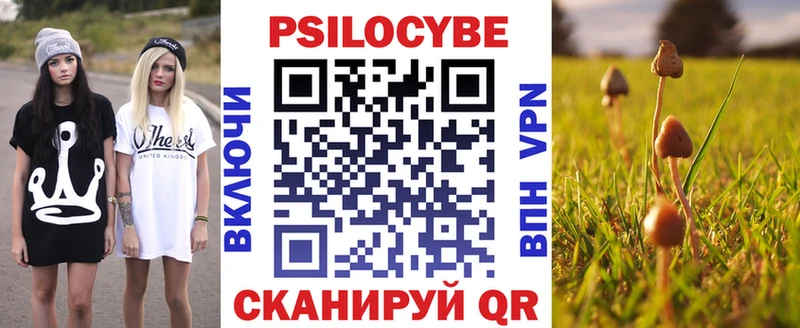 купить наркотики цена  мега зеркало  Псилоцибиновые грибы Cubensis  Балашов 