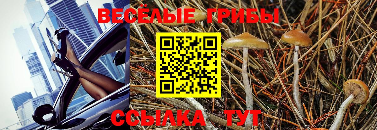Галлюциногенные грибы ЛСД Балашов