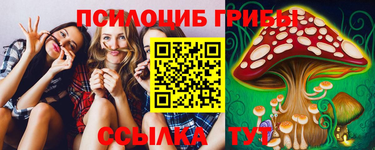 Псилоцибиновые грибы мицелий  Псилоцибиновые грибы Psilocybine cubensis  Вход с VPN  Балашов 